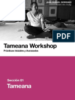 Tameana Workshop, 15 Oct 2021 PDF