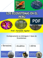 Los Ecosistemas en El Per 38155969
