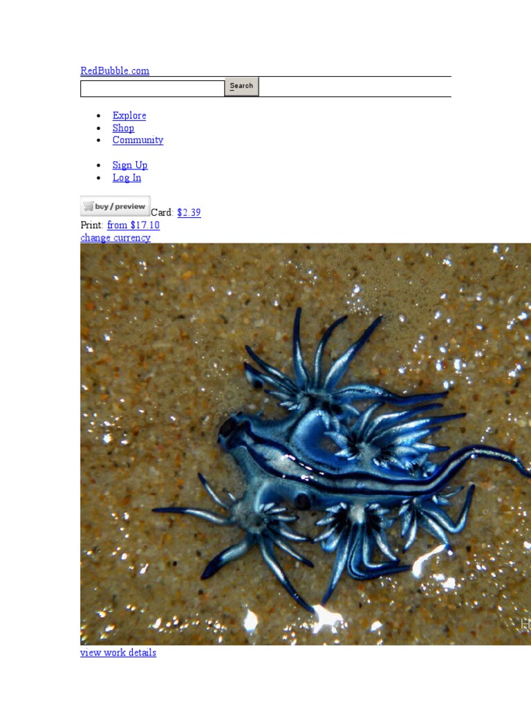 Sea Slug | PDF