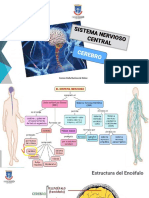 Cerebro