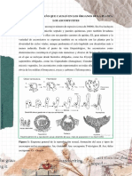 Trabajo de Fitopatología 2