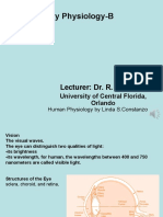 Sensory Physiology-B: Lecturer: Dr. R. Ahangari