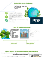 Infografia Del Medio Ambiente