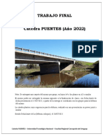 Trabajo Final Puente (2022)