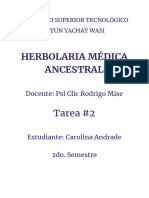 Herbolaria Taller 2 - Carolina Andrade