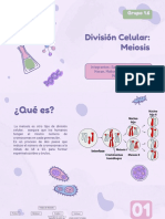 Charla 2 Biologia Meiosis