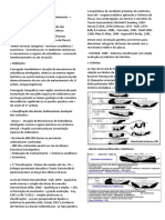 Geologia Do Brasil II - Parte 2