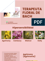 _Presentación  Clase N° 6 Flores de Bach