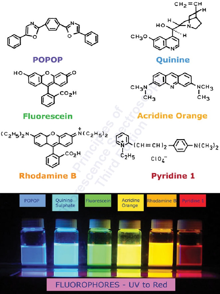 Principles of Fluorescence Spectroscopy ( PDFDrive ) PDF