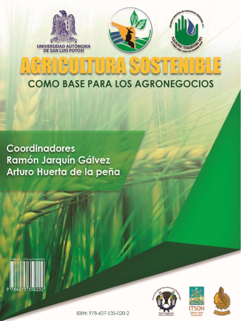 Huertos urbanos como alternativa sostenible - Revista InfoAgro México