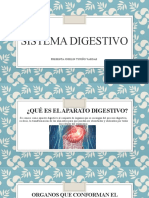 Sistema Digestivo (Presentacion) 12