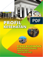 Profil Kabupaten Serang 2021