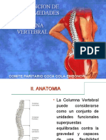 Columna vertebral