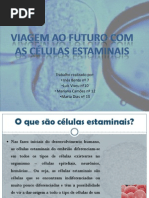 Células Estaminais I