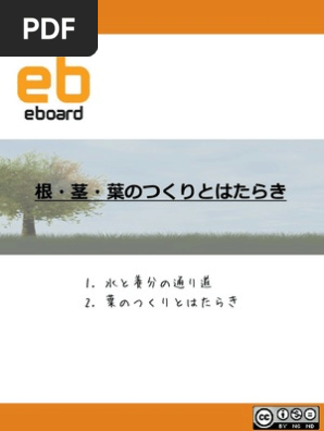 生物 根 茎 葉のつくりとはたらき