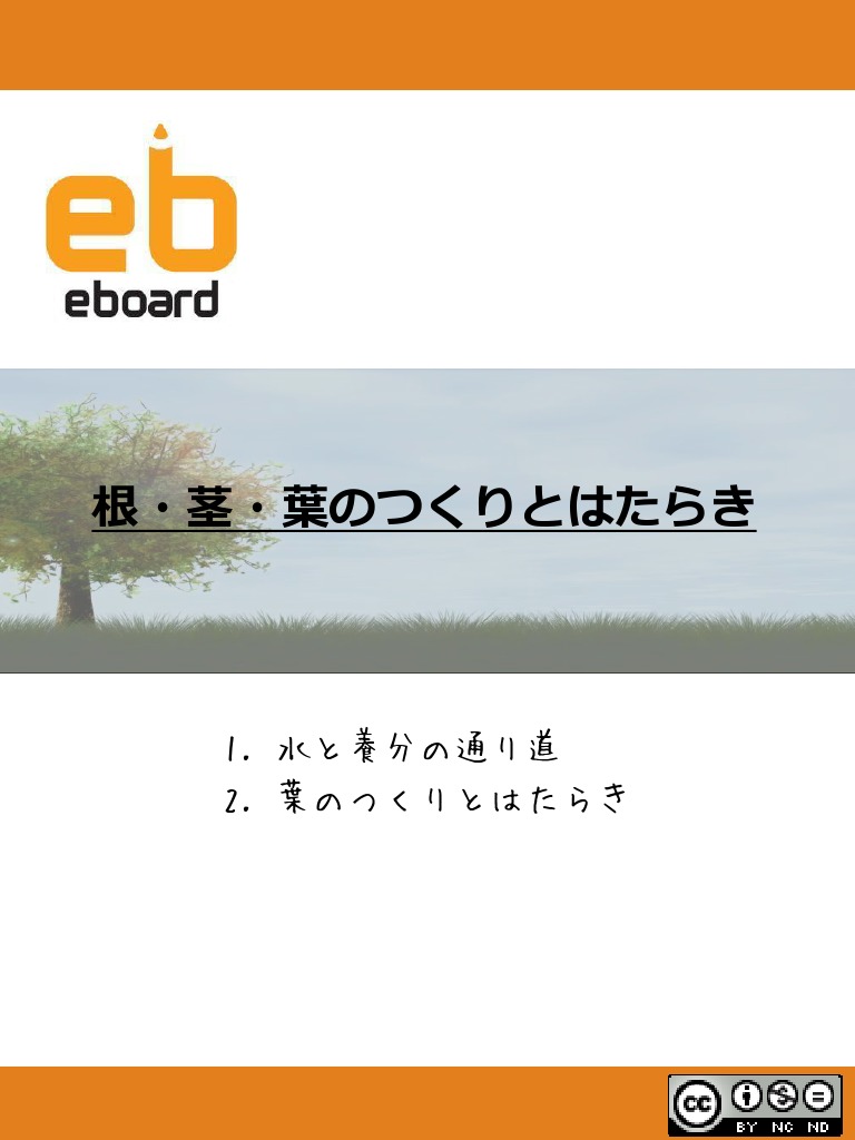 生物 根 茎 葉のつくりとはたらき