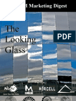 Pan IIM Mag The Looking Glass