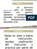 Tarea Control de Localidades y Disturbios Civiles