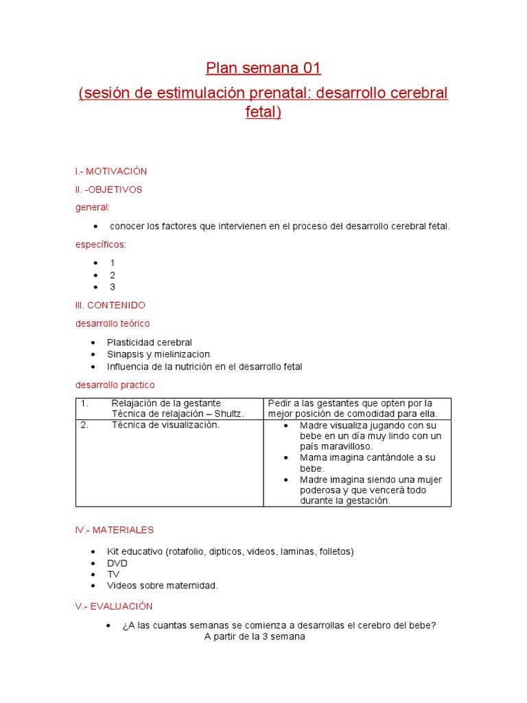 Estimulación Prenatal y Desarrollo Cerebral | PDF