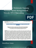 Identifikasi Molekuler Kapang Asosiasi Spons Menggunakan Metode DNA