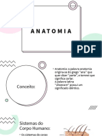 Anatomia