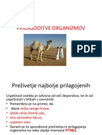 Prilagoditve Organizmov