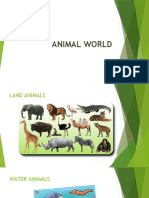 Animal World