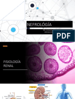 Fisiología Renal