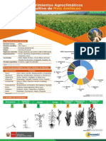 Ficha Tecnica 07 Cultivo Amilaceo