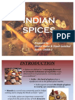 Indian Spice - Final