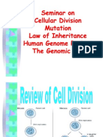 Cell Division and Meiosis Explained