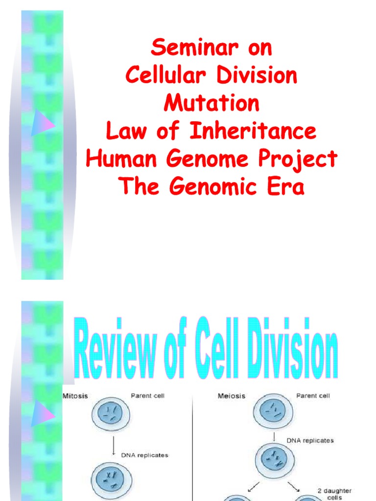 Overview of Cell Division Processes | PDF | Meiosis | Mitosis