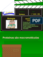 1º ANO - Metabolismo de Construção - Proteínas