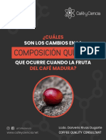 Cambios de Composicion Quimica Fruta Madura