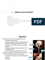 3.5. Digestion and Absorption