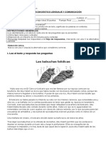 Evaluación de Diagnostico Lenguaje 2