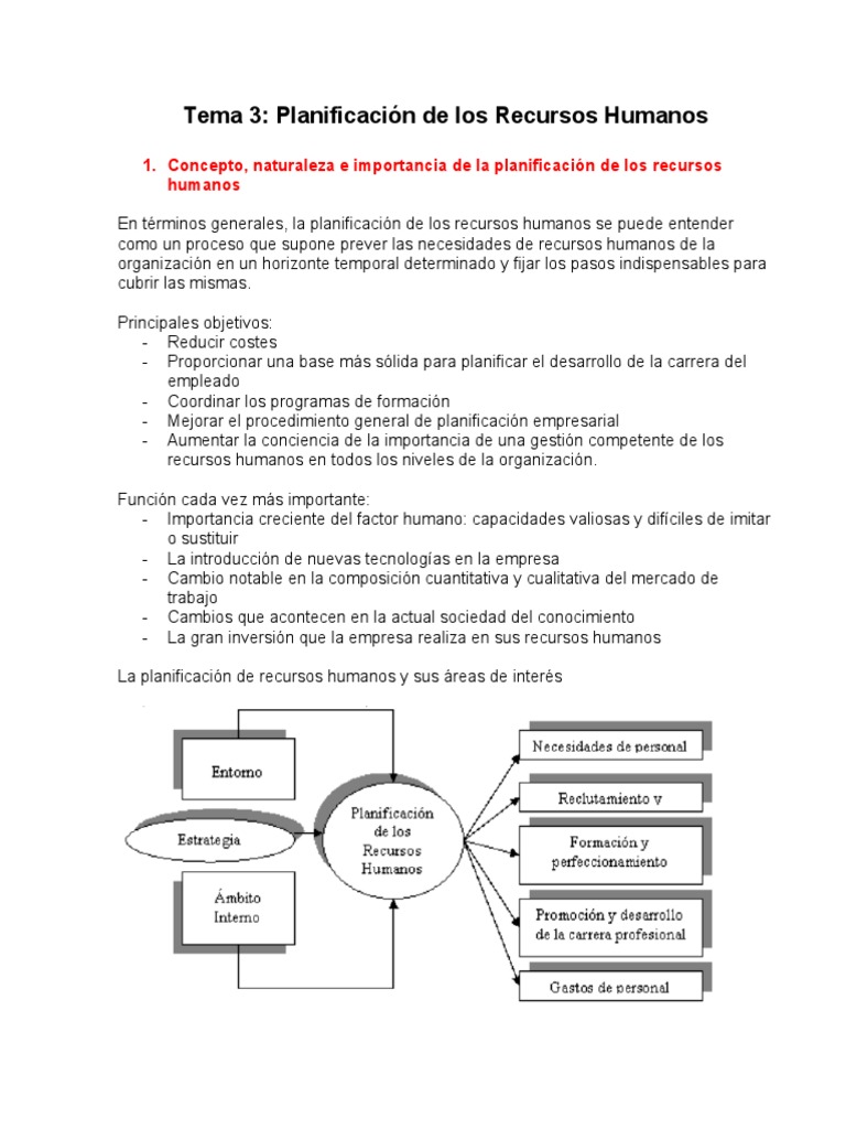 Tema 3 Planificación De Los Recursos Humanos Pdf Gestión De