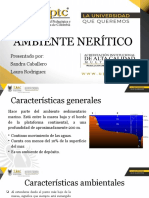 Zona nerítica: Características y estructuras