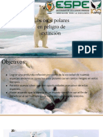 Los Osos Polares en Peligro de Extinción