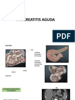 Pancreatitis aguda: anatomía, diagnóstico por imagen y clasificación