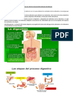 Material Estudio 5°