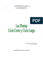 Informe Plantas Ciclo Largo y Ciclo Corto Anfrancys Romero 1ro D