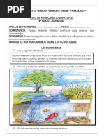 Ficha de Trabajo 19-07-2022 Sexto Grado