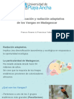 La Diversificación y Radiación Adaptativa de Los Vangas en Madagascar