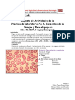 M2.1. POST-LAB Prac 5 Hematopoyesis y Sangre
