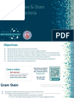 Gram Positive & Gram Negative