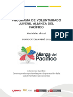 Proyecto - Convocatoria - Vjap - Peru - 2022 VFF