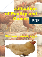 Classification of Poultry and Games