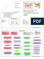 Pheochromocytoma: PHEO - Dark CHROMO - Color CYT - Cell OMA - Tumor