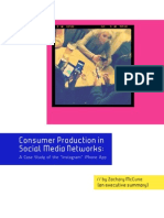 Consumer Production in Social Media Networks: Executive Summary